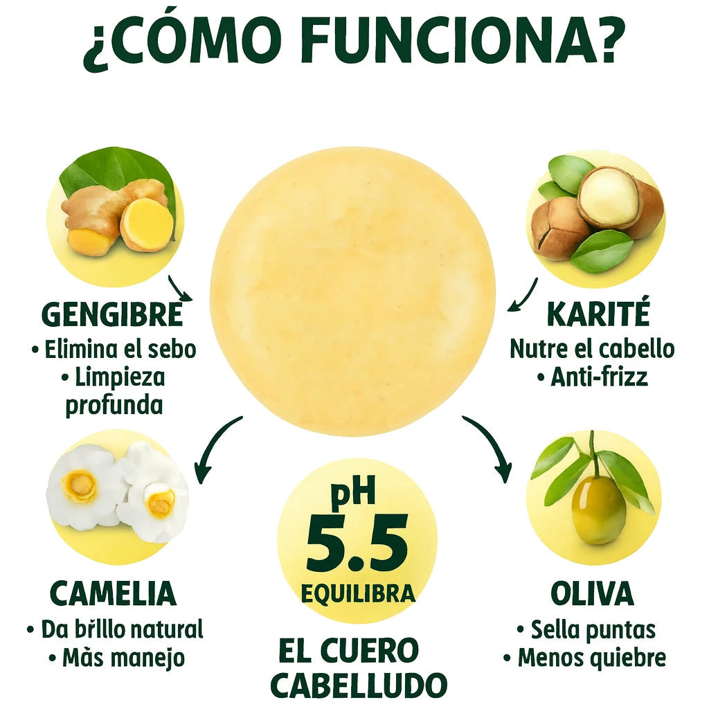 Ginger Shampoo Dermika