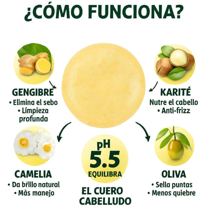 Ginger Shampoo Dermika